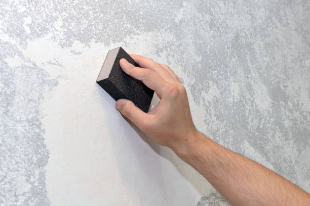Best Environmental Consulting for Mold Prevention  in Ewa Gentry, HI