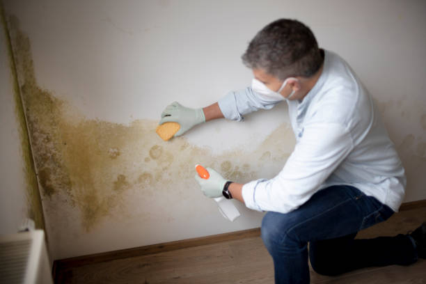 Ewa Gentry, HI Mold Removal Company