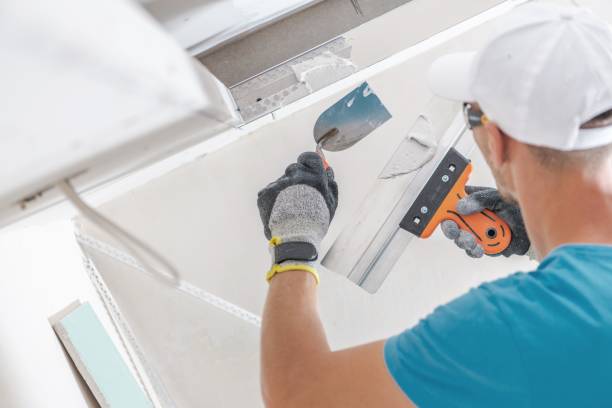 Best Asbestos and Lead Testing During Mold Inspection  in Ewa Gentry, HI